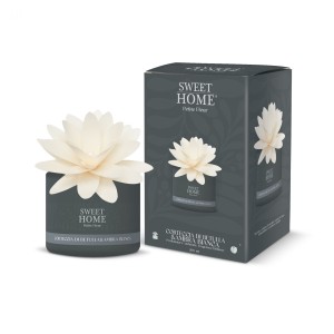 SWEET HOME ODŚWIEŻACZ POWIETRZA BIRCH BARCK 200 ML